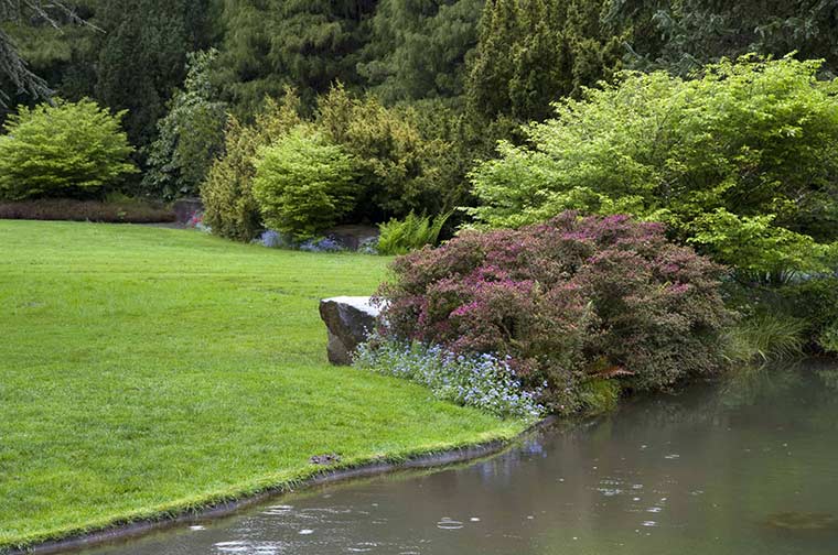 Landscaping scaled