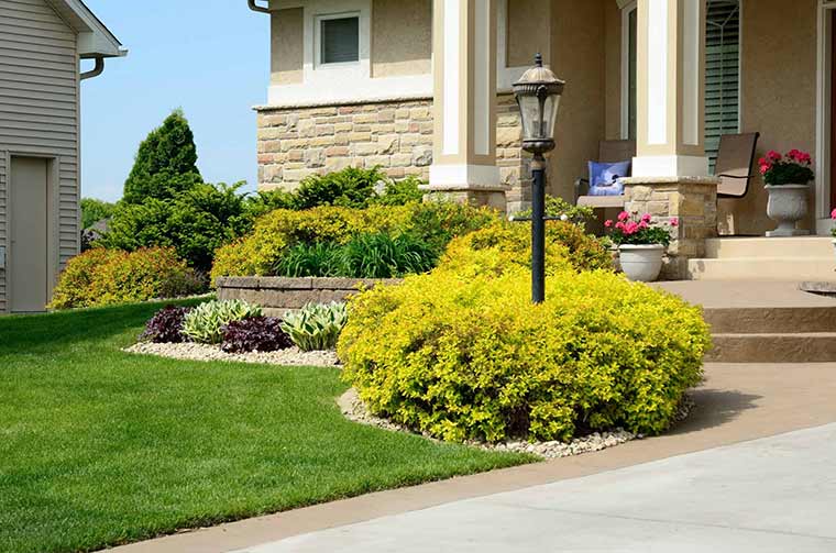 Professional Landscape Design & Installation in Reidsville & Greensboro