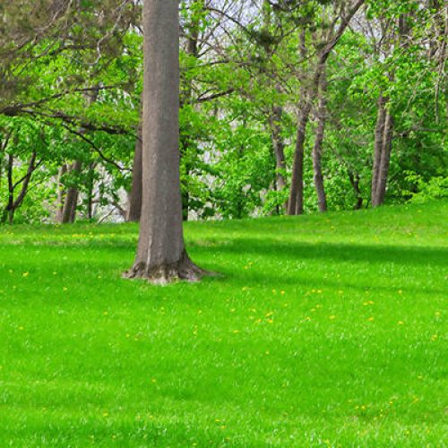 garrison Commercial Landscaping